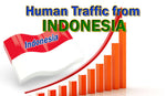 Load image into Gallery viewer, I will direct organic website visits from indonesia