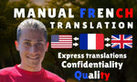 Load image into Gallery viewer, I will manually translate english to french or french to english (upto 1200 words)
