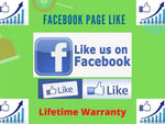 Load image into Gallery viewer, You will get Facebook 5,000 Followers and Page Like (Real & organic Facebook followers)