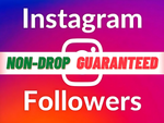 Load image into Gallery viewer, You will get Instagram 5000+ Followers Non-Drop Service