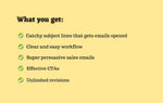 Load image into Gallery viewer, I will write effective email copies for your email marketing campaign (Up to 1500 words)