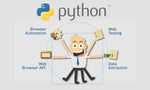 Load image into Gallery viewer, I will write python scripts for web automation and scraping