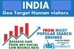 Load image into Gallery viewer, I will drive indian organic website visitors
