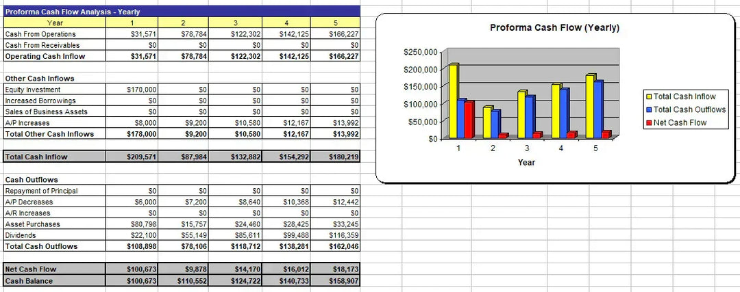 I will write a perfect five year business plan for you