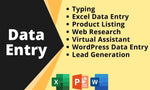 Load image into Gallery viewer, I will do excel data entry, copy paste, typing, web research-5 hours of work