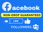 Load image into Gallery viewer, You will get Facebook 5,000 Followers and Page Like (Real &amp; organic Facebook followers)